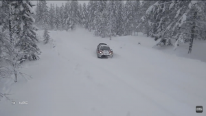 ラリー・スウェーデン画像